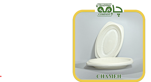 دیس متوسط گیاهی (بسته 6 عددی)